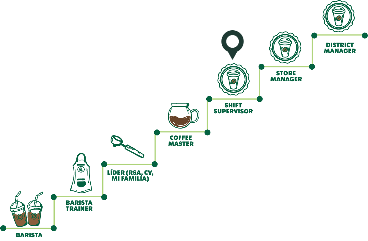 Organigrama de carrera profesional